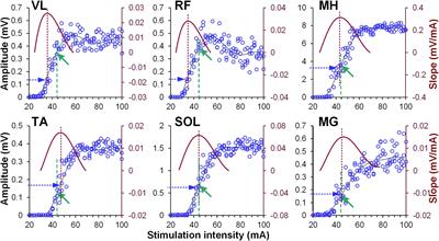 Vestibulospinal and Corticospinal Modulation of Lumbosacral Network Excitability in Human Subjects